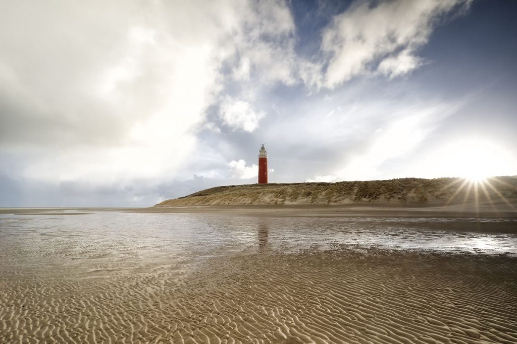 Texel